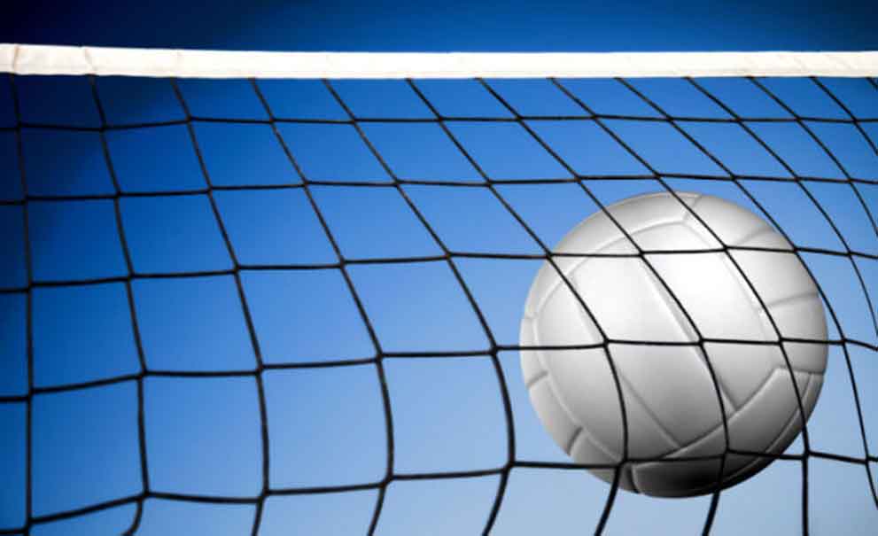 Master Systems Courts Volleyball Net Sample